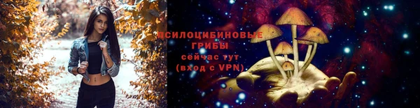 таблы Богданович