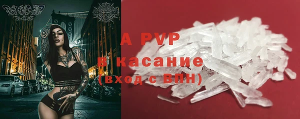 эйфоретик Арсеньев