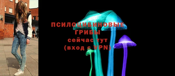 герыч Аркадак