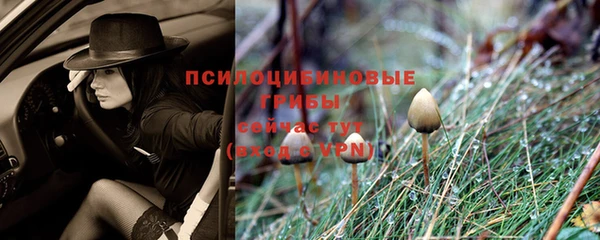 эйфоретик Арсеньев