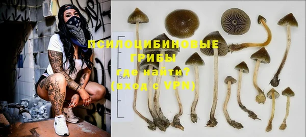 ALPHA-PVP Богородицк