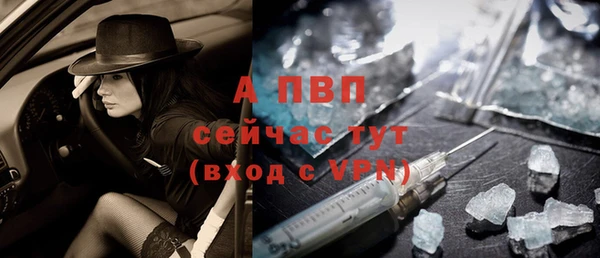 эйфоретик Арсеньев